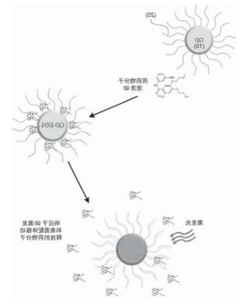 近红外二区量子点