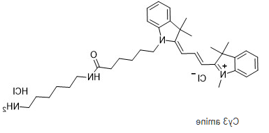 Cy3-amine,Cy3-NH2,Cy3-氨基,cas:2247688-56-6