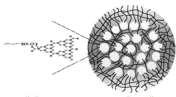 PEG/g-C3N4量子点