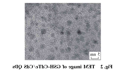 GSH-CdTe/CdSQDs