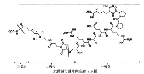Mal-PEG-NHS偶联碳量子点