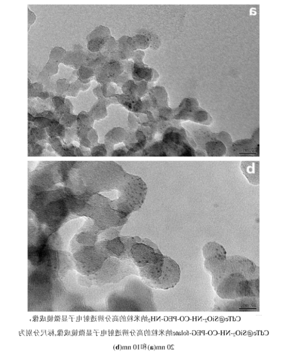 CdTe@SiO2-NH-CO-PEG-folate