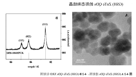 ZnTe碲化锌量子点