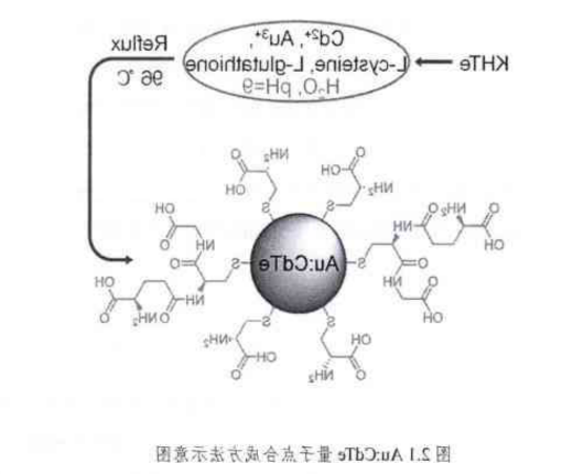 Au:CdTe量子点