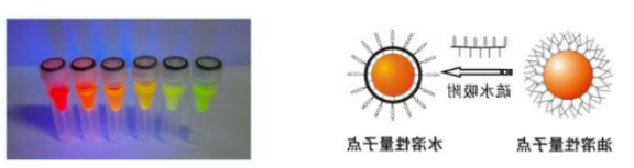 水溶性羧基量子点