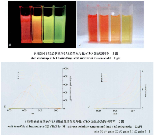 CdTe量子点 CdTe量子点