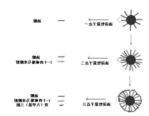水溶性量子点