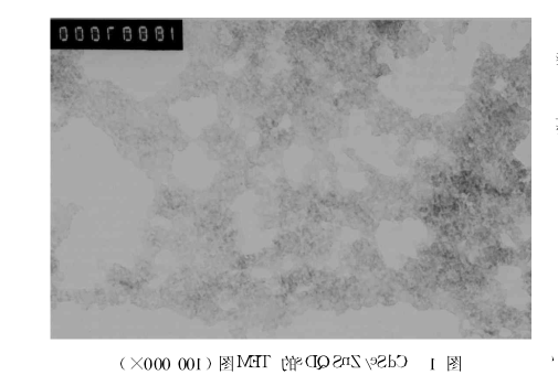 CdSe/ZnS量子点