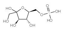 udp木糖