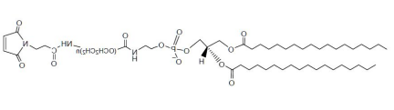 DSPE-PEG-ss31