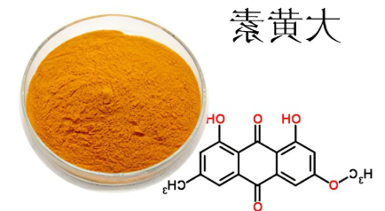 大黄素 大黄素