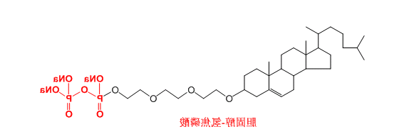 氢焦磷酸修饰胆固醇