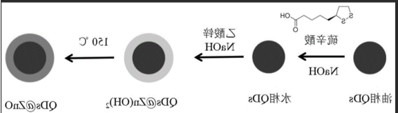 掺杂钆(Gd)的ZnO量子点偶联硼霉素