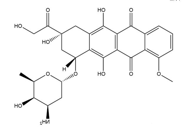 阿霉素 阿霉素