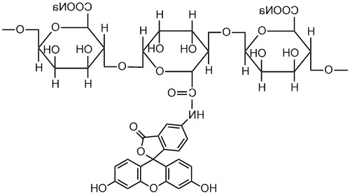 FITC-Alginate FITC-Alginate