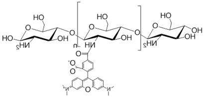 红色荧光素标记壳聚糖