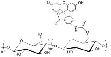 绿色荧光标记葡聚糖