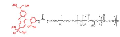 PLGA-PEG-RB/PLGA-b-PEG-RhB/ 聚乳酸-羟基乙酸共聚物（MW:10000,5000）