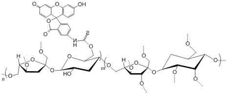 绿色荧光素标记聚蔗糖