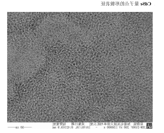 硒化镉量子点包载铂类**