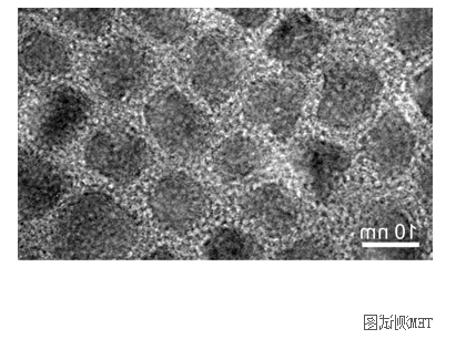 近红外CdSe/ZnS量子点偶联丹皮酚