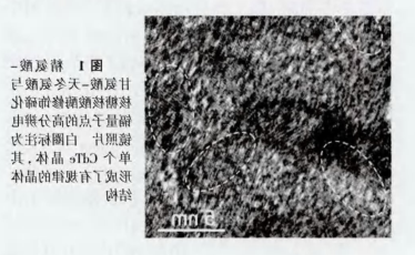 近红外碲化镉(CdTe)量子点 近红外碲化镉(CdTe)量子点