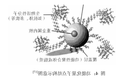QD-(AS-ODN+p160)