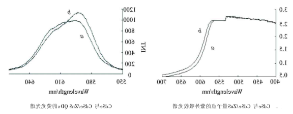 聚丙烯酸包覆CdSe/ZnS(碲化镉/硫化硒锌)量子点偶联人IgG蛋白分子 聚丙烯酸包覆CdSe/ZnS(碲化镉/硫化硒锌)量子点偶联人IgG蛋白分子