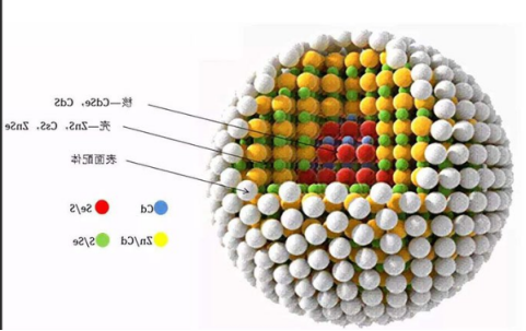 细胞核靶向TAT多肽修饰碳化钒(V2C)量子点(QDs) 细胞核靶向TAT多肽修饰碳化钒(V2C)量子点(QDs)