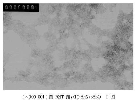 功能肽RGDC修饰CdSe/ZnS量子点