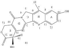 7-乙基-10-羟基喜树碱