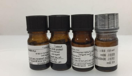 人参皂苷Re(Re)脂质体冻干粉