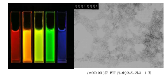 CdTe/CdS核/壳量子点 CdTe/CdS核/壳量子点