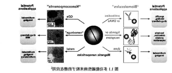 Fe304磁性/ZnS量子点