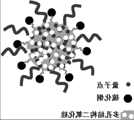 SiO2-NH2/CuInS2-IBU