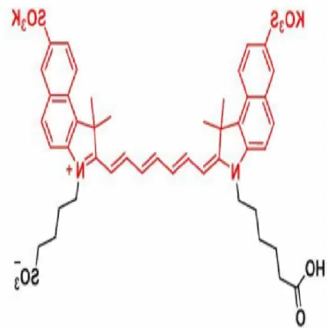 DBCO-trisulfo-ICG