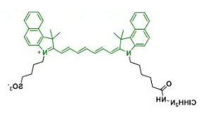 ICG hydrazide ICG hydrazide