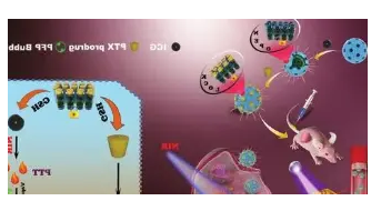 ICG-PEG5-NH2