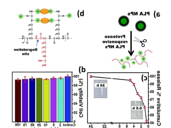ICG/Biotin-PEG-AuNC-PCM
