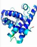myosin