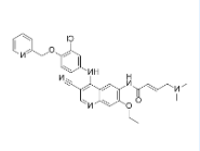 cy7荧光标记来那替尼 cy7荧光标记来那替尼