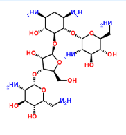 Cy3荧光标记新霉素