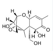 FITC荧光标记呕吐毒素 FITC荧光标记呕吐毒素