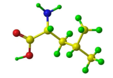 glycine-arginine- glycine-aspartic acid-serine,GRGDS