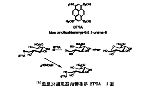 荧光标记单糖和寡糖
