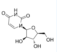cy3荧光标记阿糖尿苷