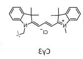 Cy3