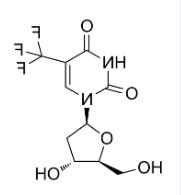 FITC荧光标记三氟胸苷