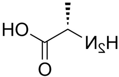 D–丙氨酸