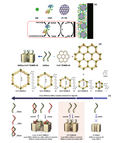 金属有机框架MOF-53NPs